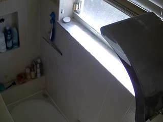 voyeurcam charleys bathroom